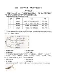 河南省平顶山市宝丰县2022-2023学年八年级上学期期中生物试题(含答案)