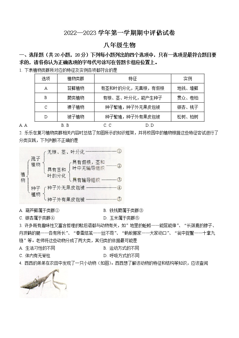 河南省平顶山市宝丰县2022-2023学年八年级上学期期中生物试题(含答案)01