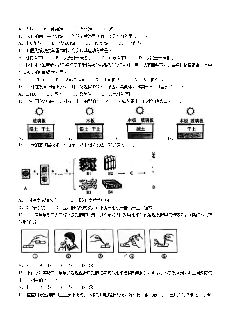 山西省太原市2022-2023学年七年级上学期期中生物试题(含答案)第2页