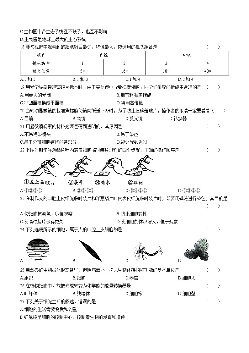云南省昭通市绥江县2022-2023学年七年级上学期期中生物试题(含答案)03