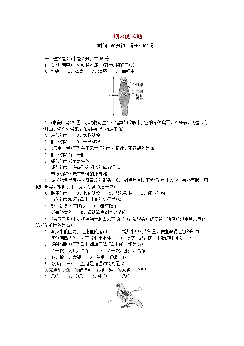 2022八年级生物上学期期末测试题新版新人教版第1页