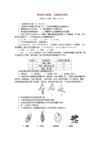 人教版 (新课标)八年级上册第五章  病毒当堂达标检测题