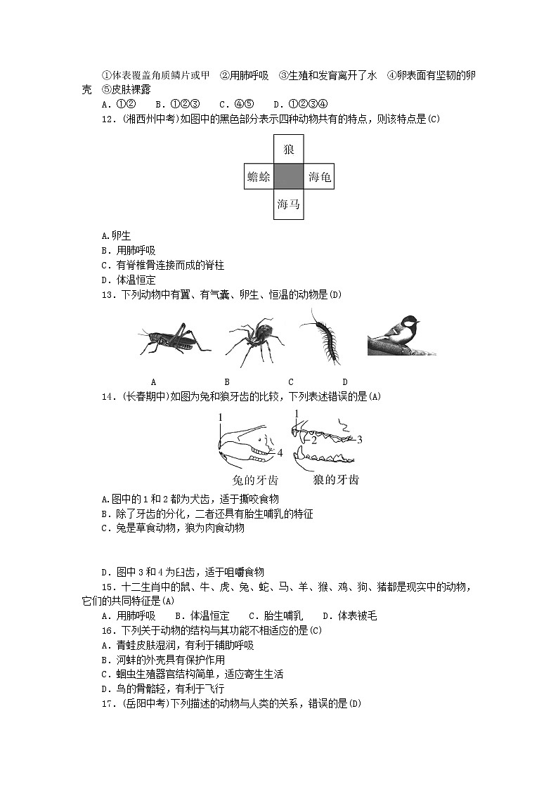 2022八年级生物上册第五单元生物圈中的其他生物第一章动物的主要类群综合评价新版新人教版 试卷02