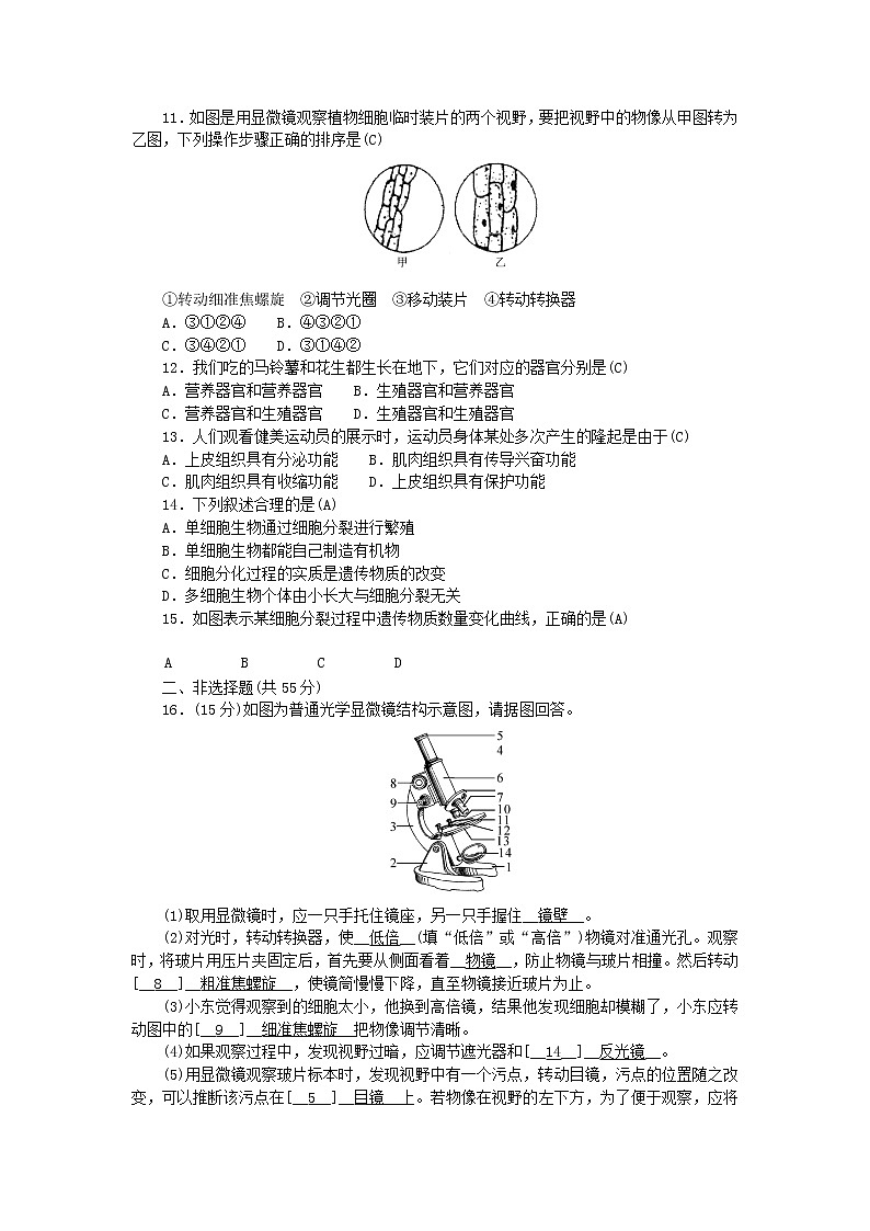 2022七年级生物上册第二单元生物体的结构层次综合评价新版新人教版第2页