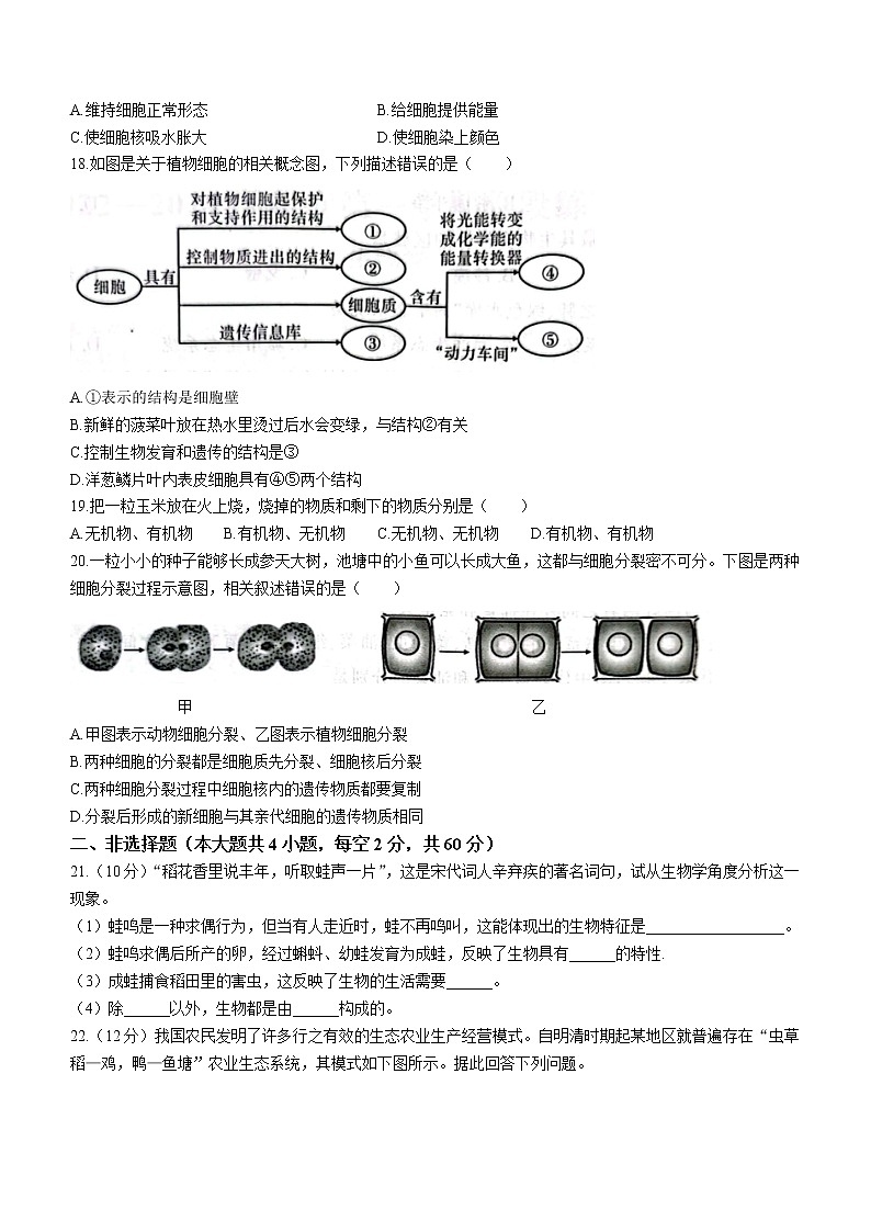 安徽省合肥市庐江县2022-2023学年七年级上学期期中生物试题（含答案）第3页