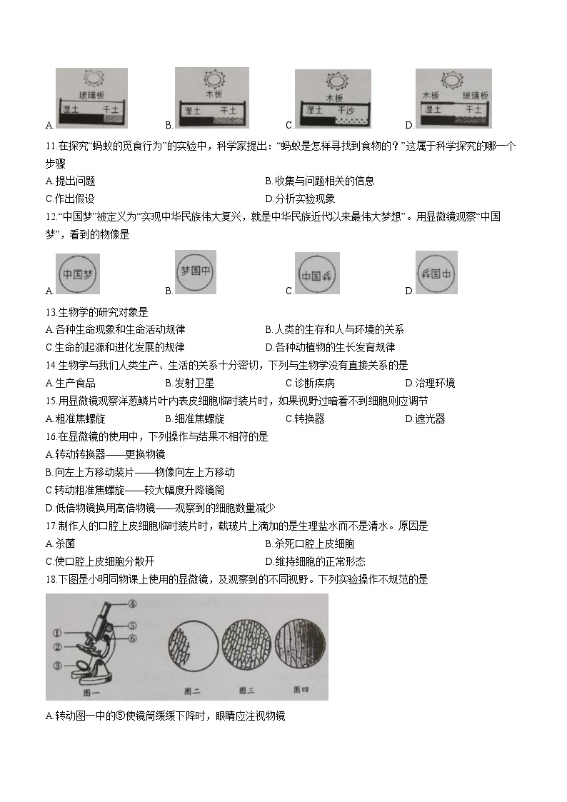 广东省湛江市徐闻县2022-2023学年七年级上学期期中生物试题（含答案）02