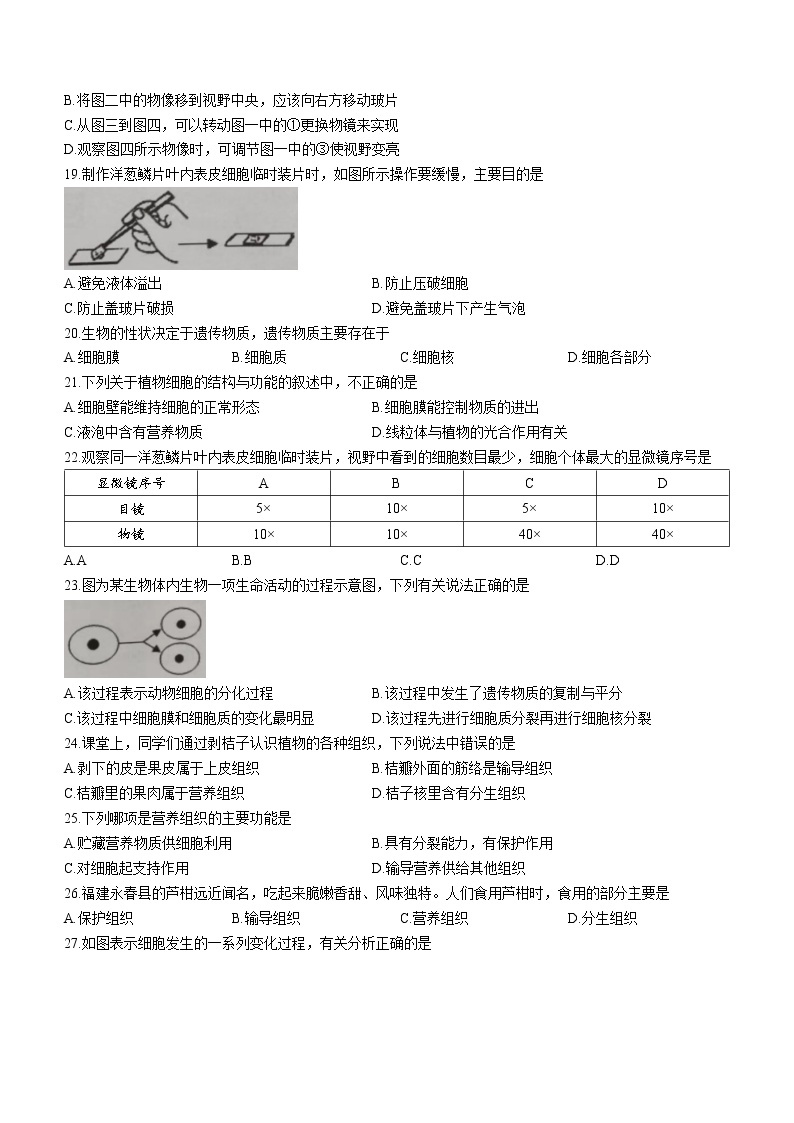 广东省湛江市徐闻县2022-2023学年七年级上学期期中生物试题（含答案）03