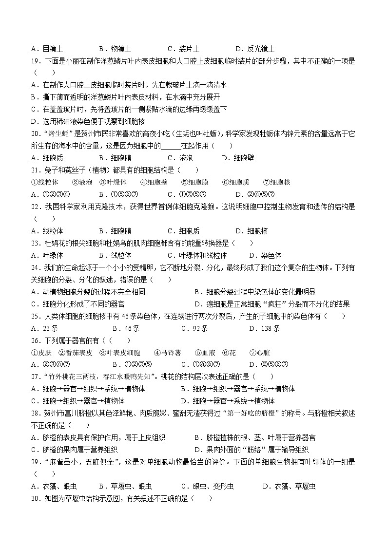 广西贺州市平桂区2022-2023学年七年级上学期期中生物试题（含答案）第3页