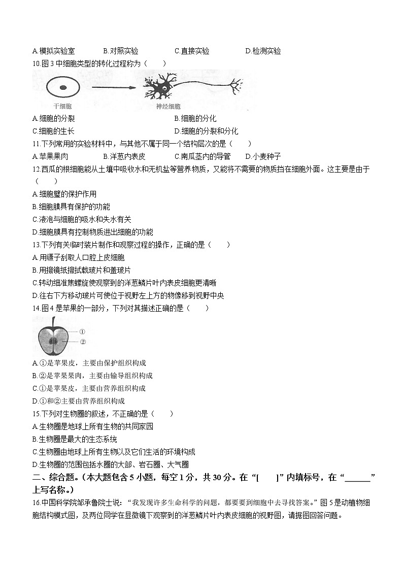 广西壮族自治区河池市凤山县2022-2023学年七年级上学期期中生物试题(含答案)第2页