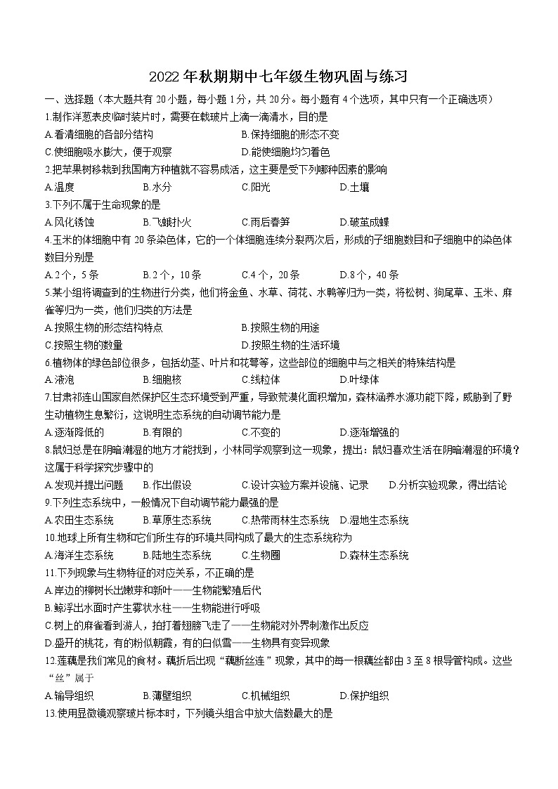 河南省南阳市内乡县2022-2023学年七年级上学期期中生物试题（含答案）01
