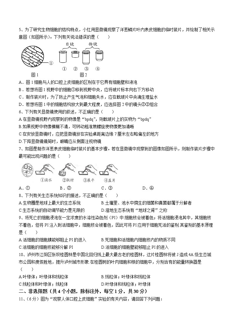 湖北省咸宁市通山县2022-2023学年七年级上学期期中生物试题(含答案)第2页