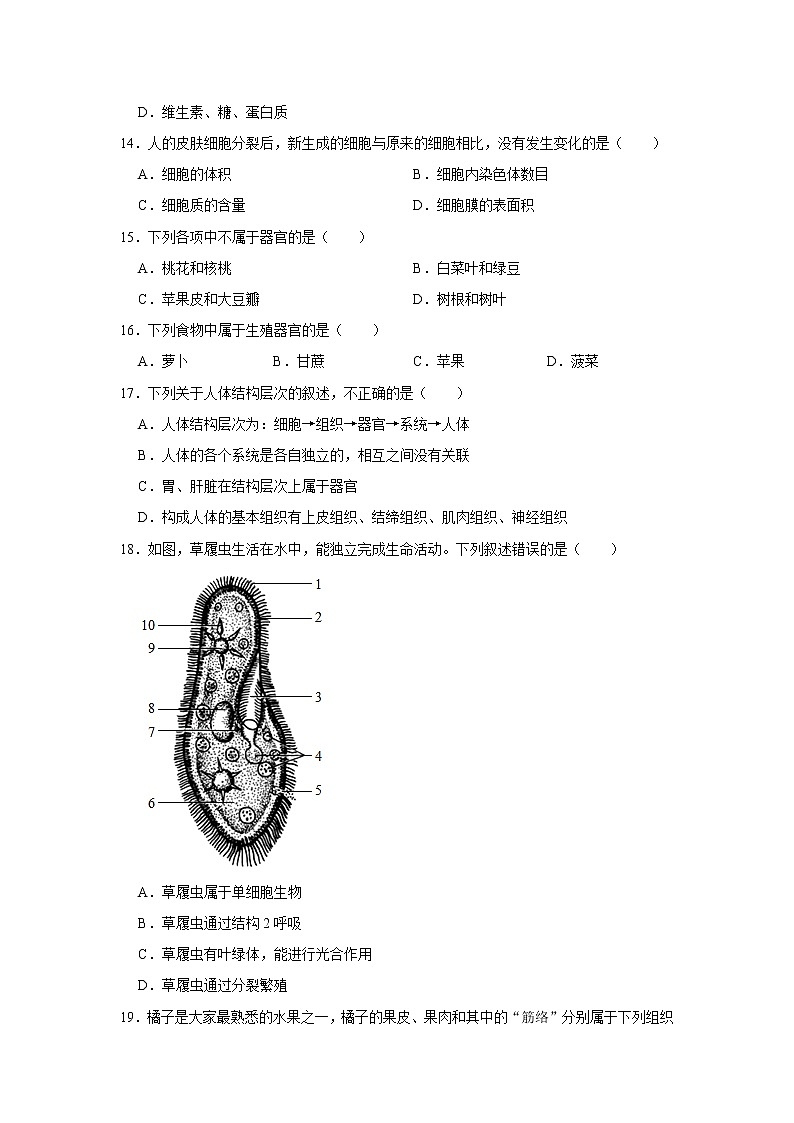 吉林省松原市前郭县哈拉毛都镇蒙古族中学2021-2022学年七年级上学期期中生物试卷（含答案）第3页