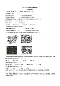 吉林省长春市朝阳区2022-2023学年七年级上学期期中生物试题（含答案）