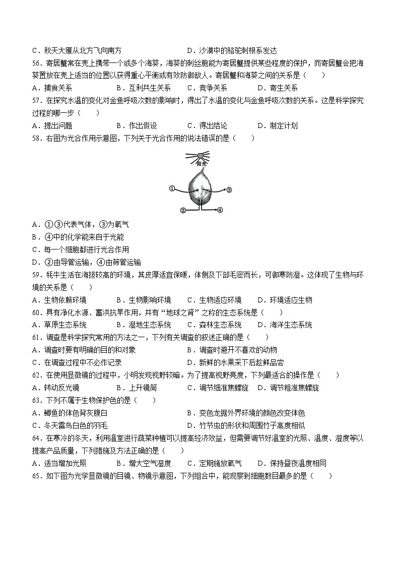 江苏省泰州市泰兴市2022-2023学年七年级上学期期中生物试题（含答案）03