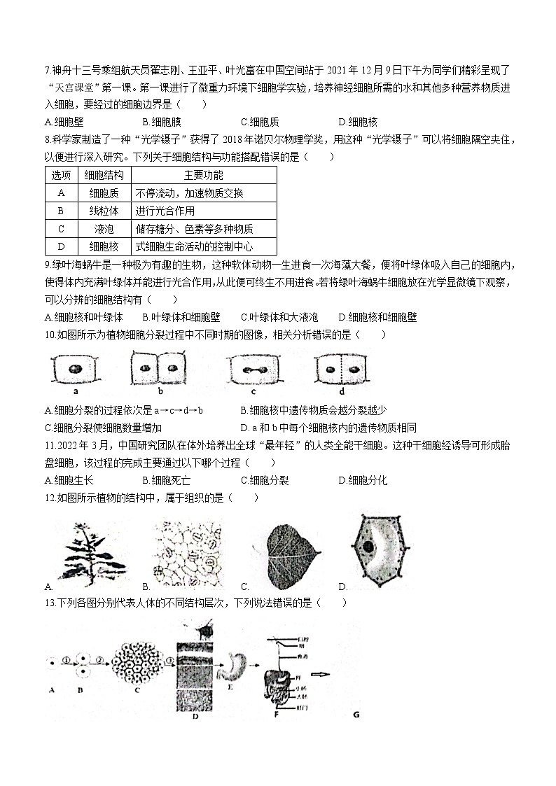 山东省济南市长清区2022-2023学年七年级上学期期中生物试题02