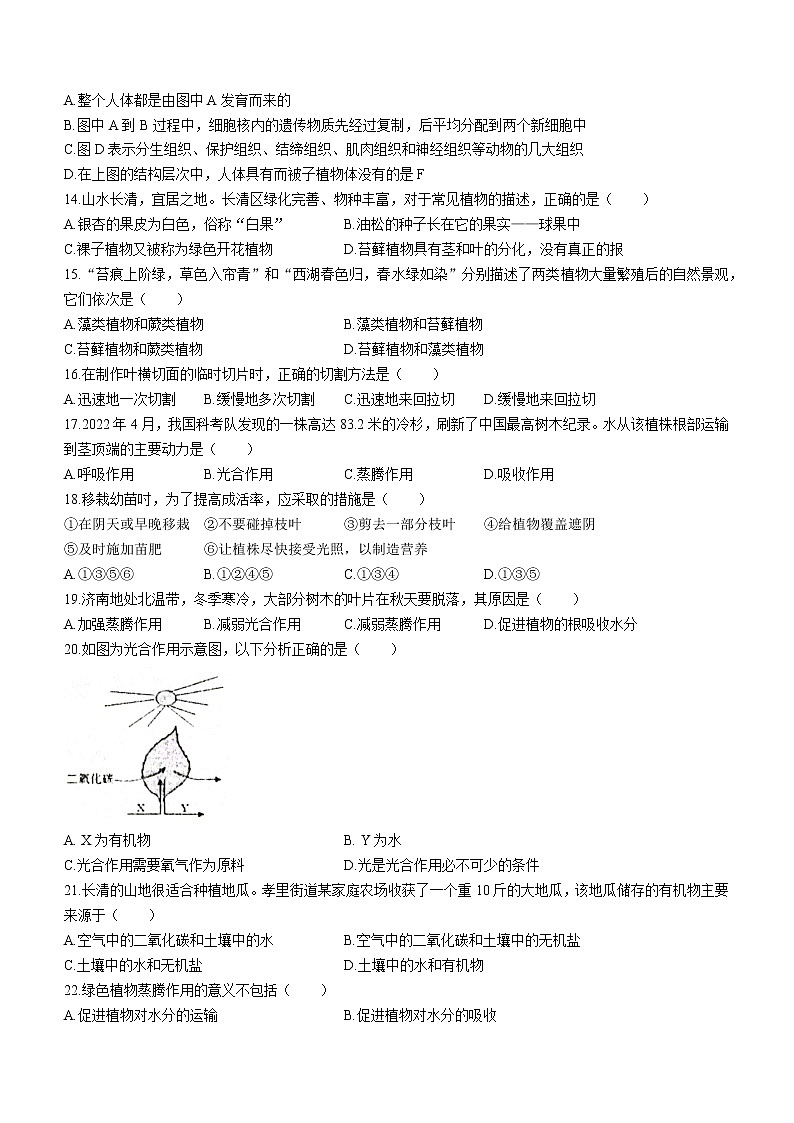 山东省济南市长清区2022-2023学年七年级上学期期中生物试题03