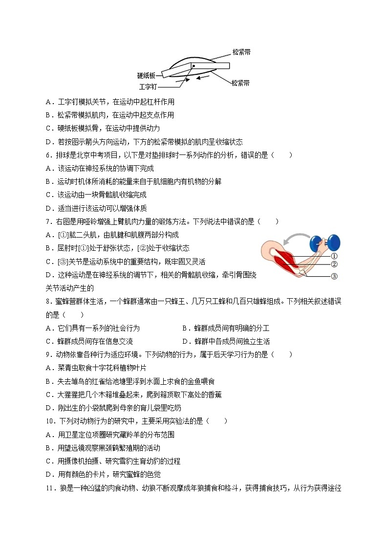 北京市北京师范大学实验中学2022-2023学年八年级上学期期中考试生物试卷（含答案）02