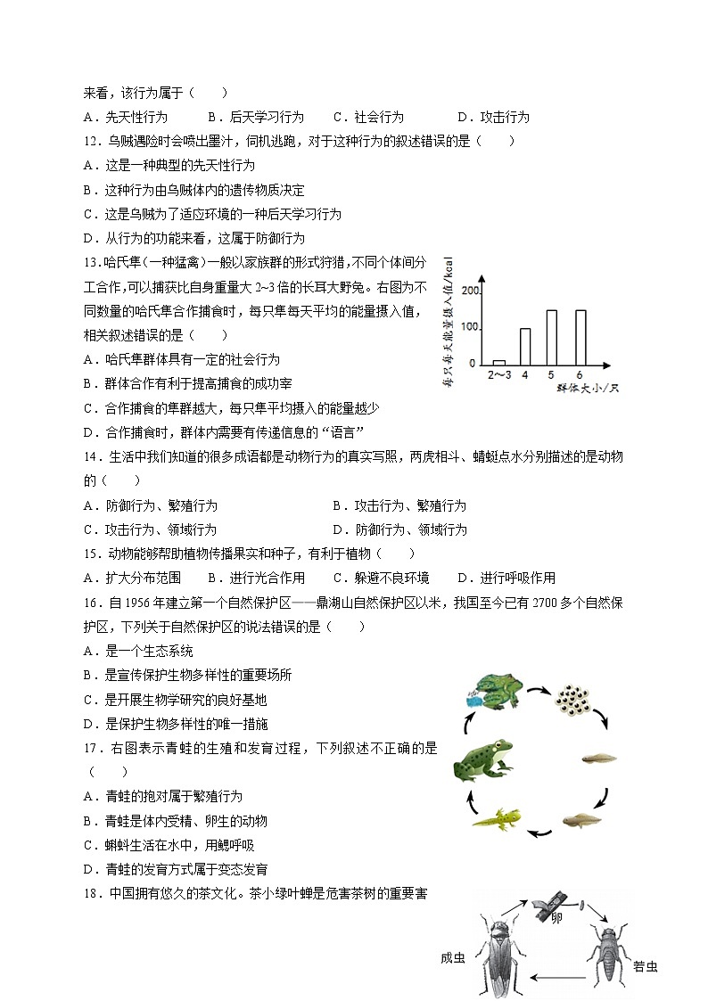 北京市北京师范大学实验中学2022-2023学年八年级上学期期中考试生物试卷（含答案）03