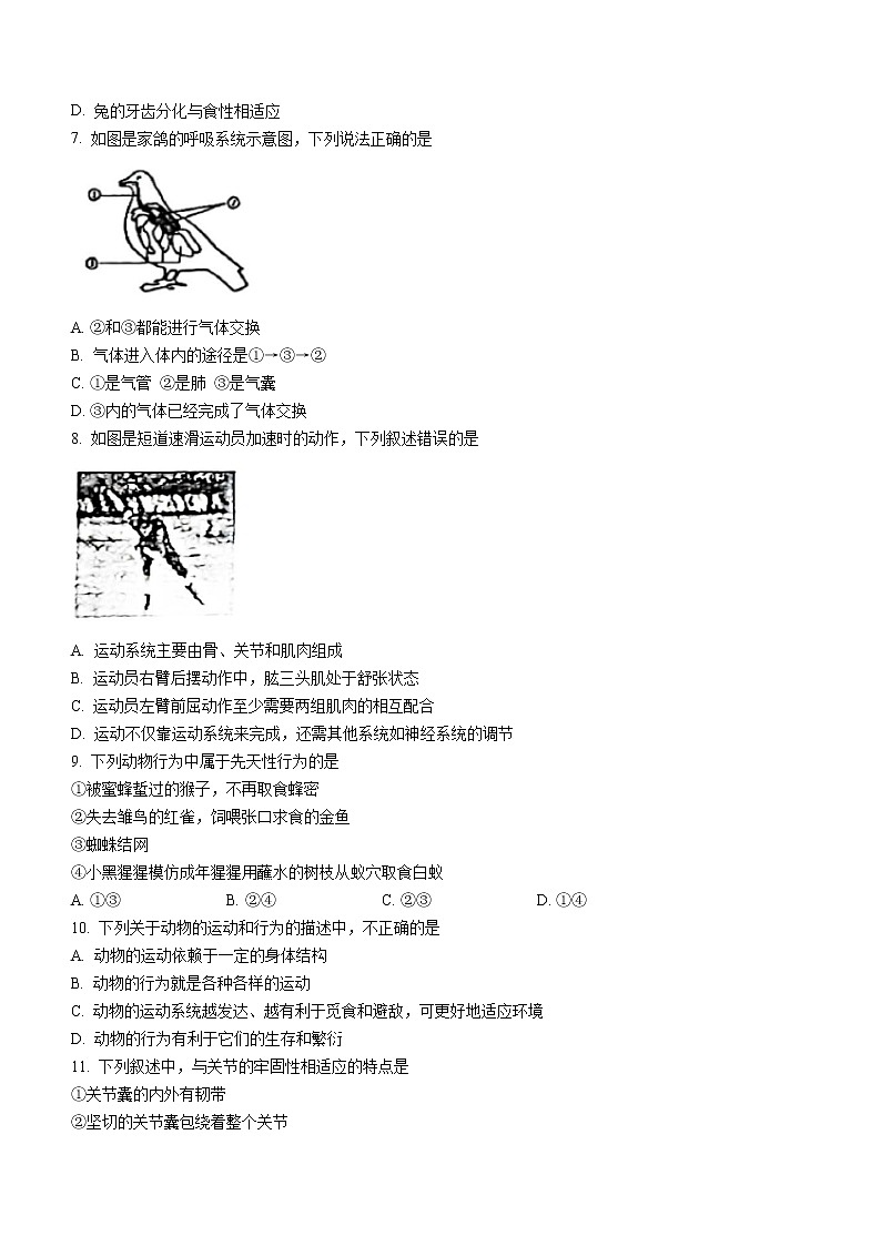 河南省南阳市邓州市2022-2023学年八年级上学期期中生物试题02