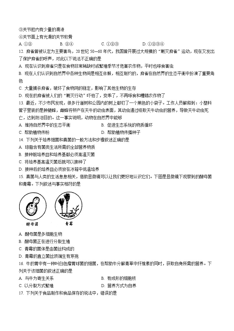 河南省南阳市邓州市2022-2023学年八年级上学期期中生物试题03