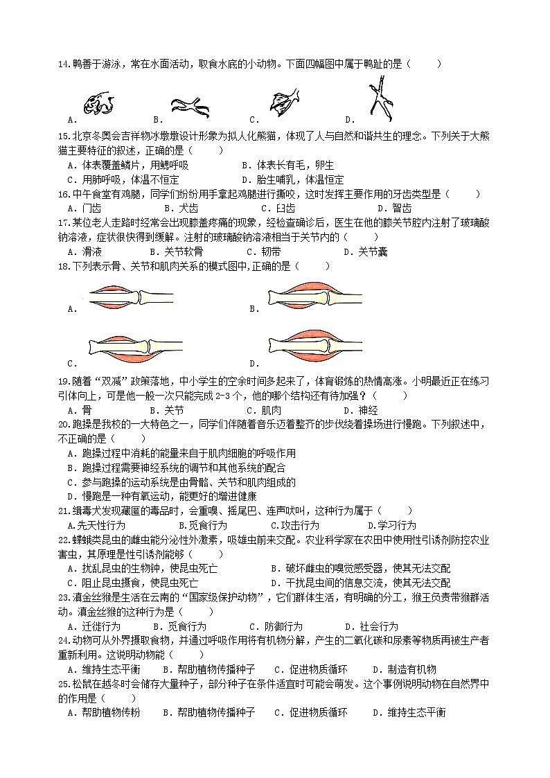 湖南省长沙市实验教育集团2022-2023学年八年级上学期期中考试生物试题（含答案）02