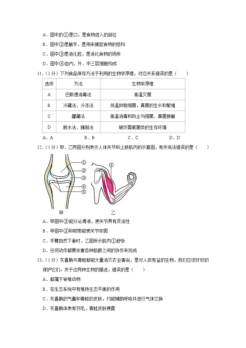 山东省青岛市崂山区2022-2023学年八年级上学期期中生物试卷（含答案）第3页