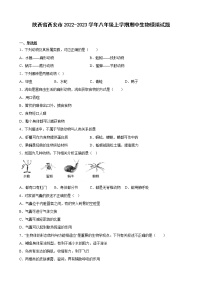 陕西省西安市2022-2023学年八年级上学期期中生物模拟试题（含答案）