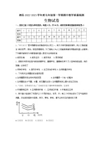 安徽省宿州市泗县2022—2023学年七年级上学期期中教学质量检测生物试（含答案）