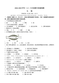 福建省南平市光泽县2022-2023学年八年级上学期期中生物试题(含答案)