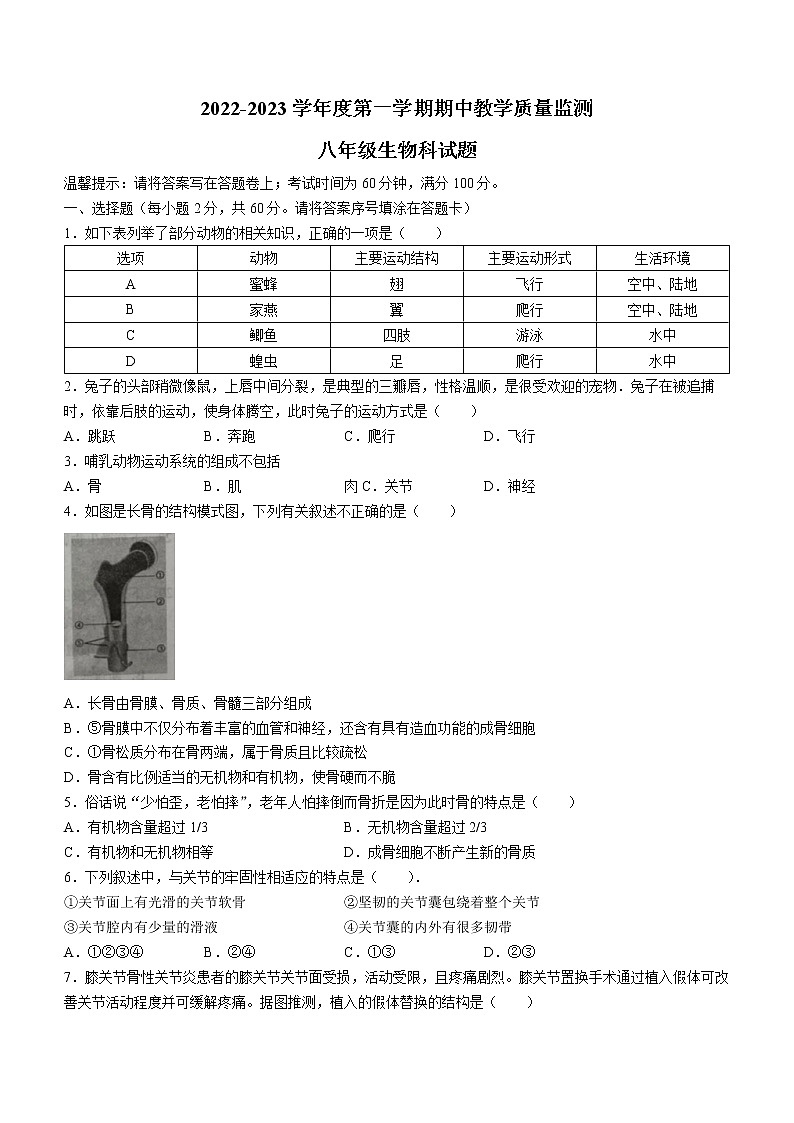 广东省揭阳市揭东区2022-2023学年八年级上学期期中生物试题(含答案)第1页