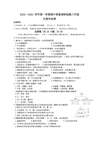 河南省洛阳市伊川县2022-2023学年八年级上学期期中质量调研检测生物试题(含答案)