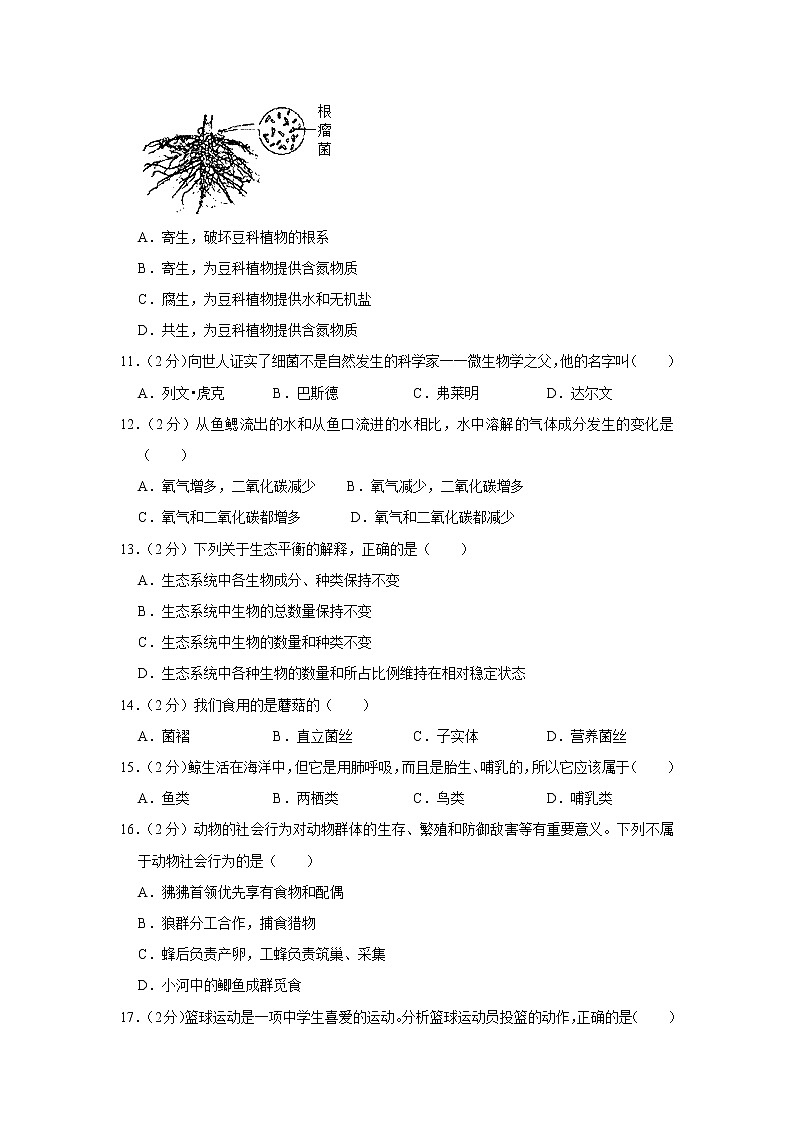 黑龙江省齐齐哈尔市拜泉三中2022-2023学年八年级上学期期中生物试卷(含答案)第2页