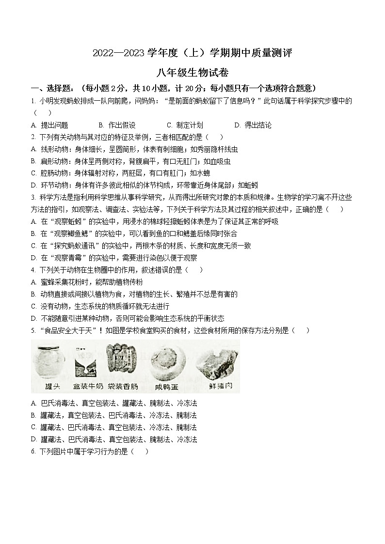 湖北省孝感市汉川市2022-2023学年八年级上学期期中生物试题(含答案)第1页