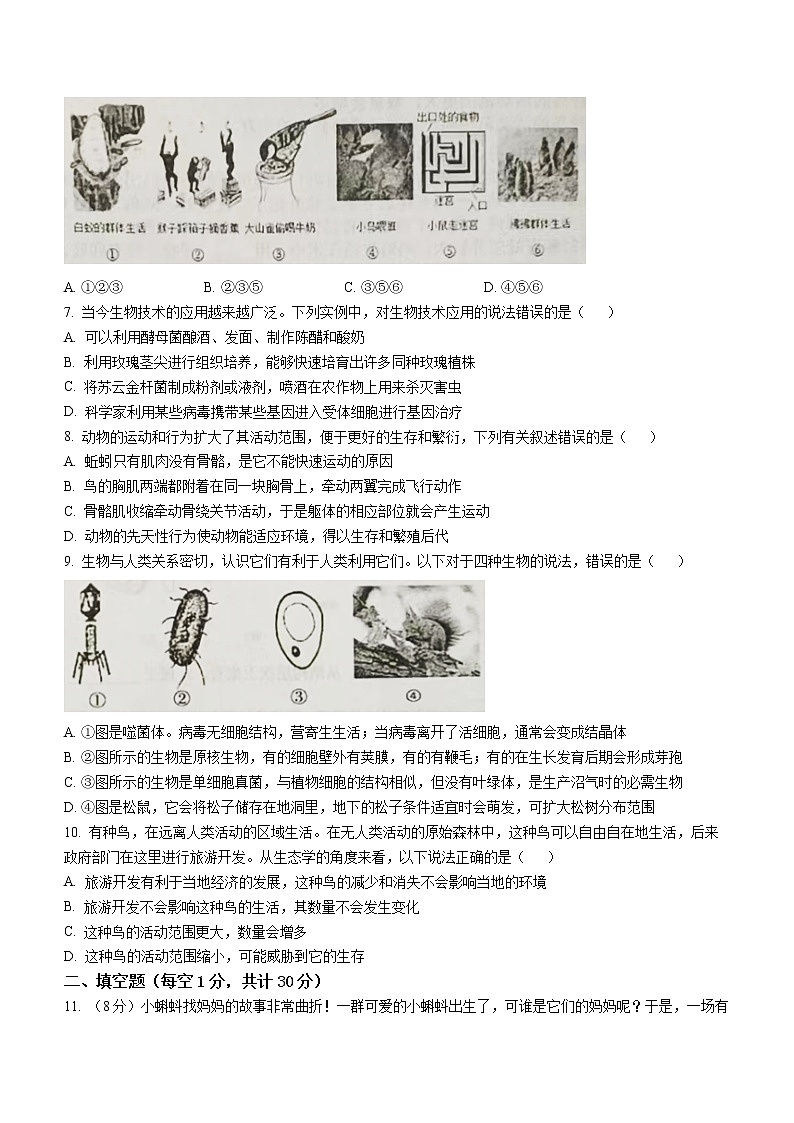 湖北省孝感市汉川市2022-2023学年八年级上学期期中生物试题(含答案)第2页
