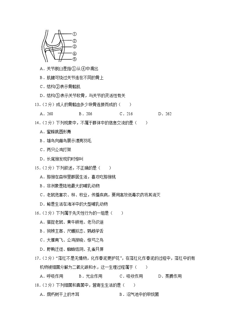 湖南省郴州市永兴县柏林中学2022-2023学年八年级上学期期中生物试卷(含答案)第3页