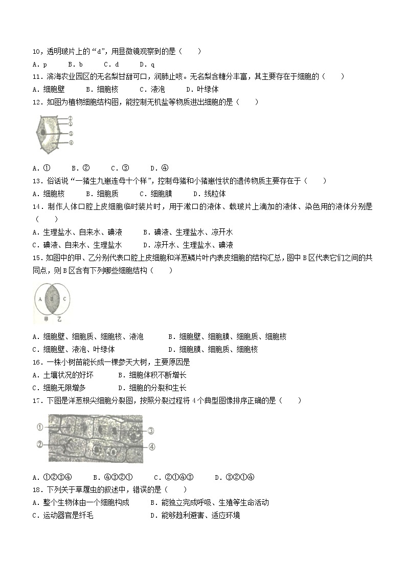 江苏省盐城市滨海县2022-2023学年七年级上学期期中生物试题(含答案)02