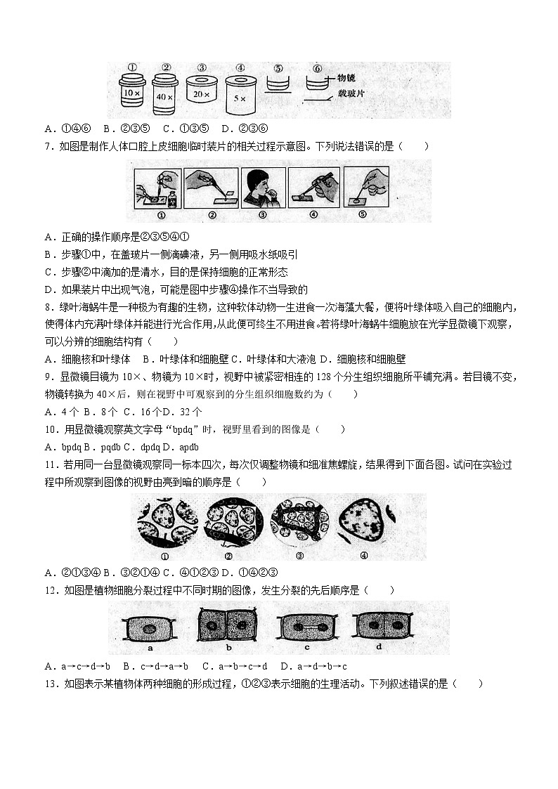 山东省济南市济阳区2022-2023学年七年级上学期期中生物试题(含答案)第2页