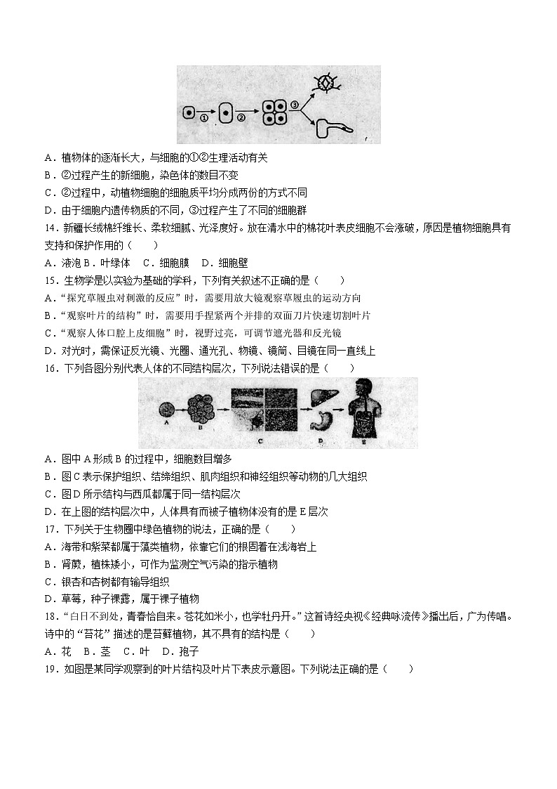 山东省济南市济阳区2022-2023学年七年级上学期期中生物试题(含答案)第3页
