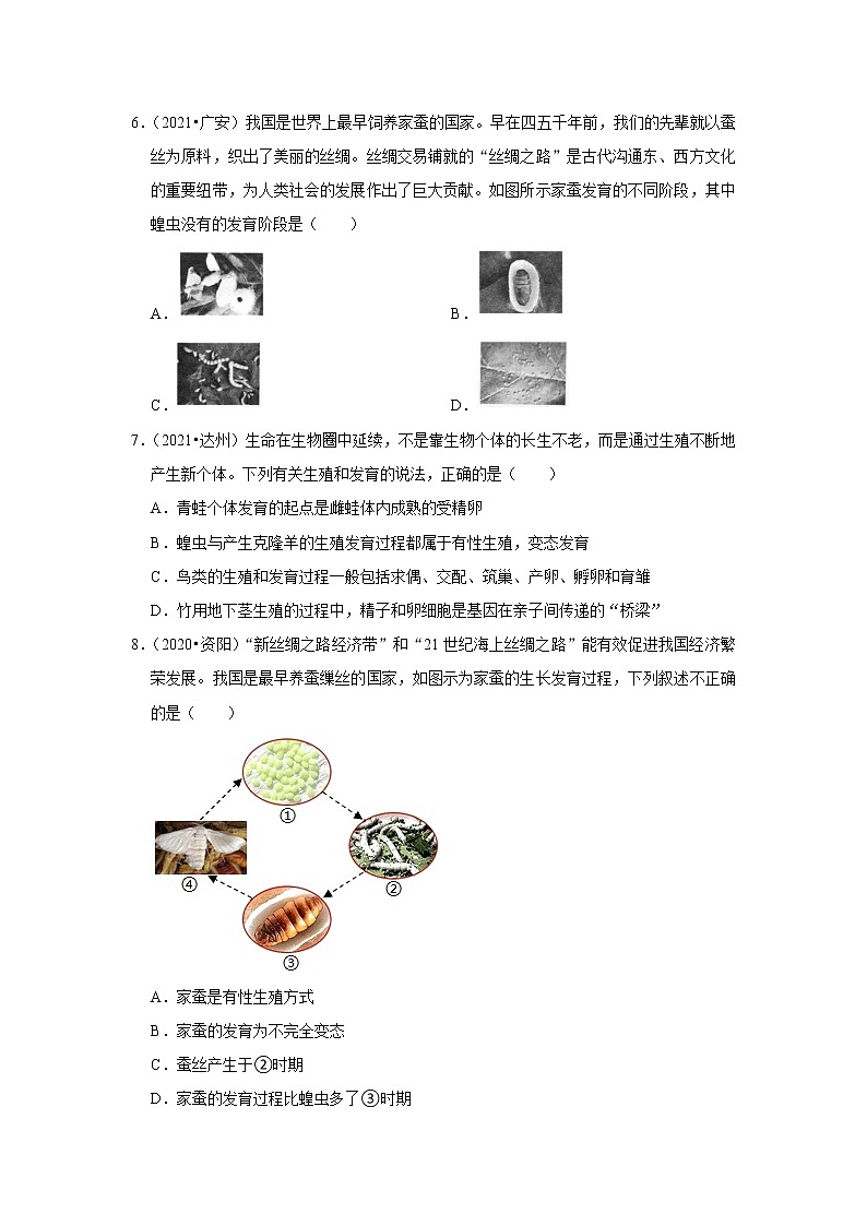 专题11 生物的生殖和发育-三年（2020-2022）中考生物真题分项汇编（四川专用）（原卷版）第2页