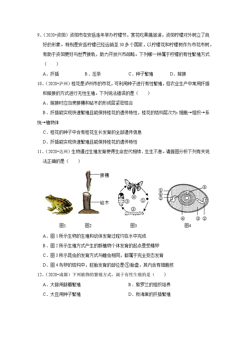 专题11 生物的生殖和发育-三年（2020-2022）中考生物真题分项汇编（四川专用）（原卷版）第3页