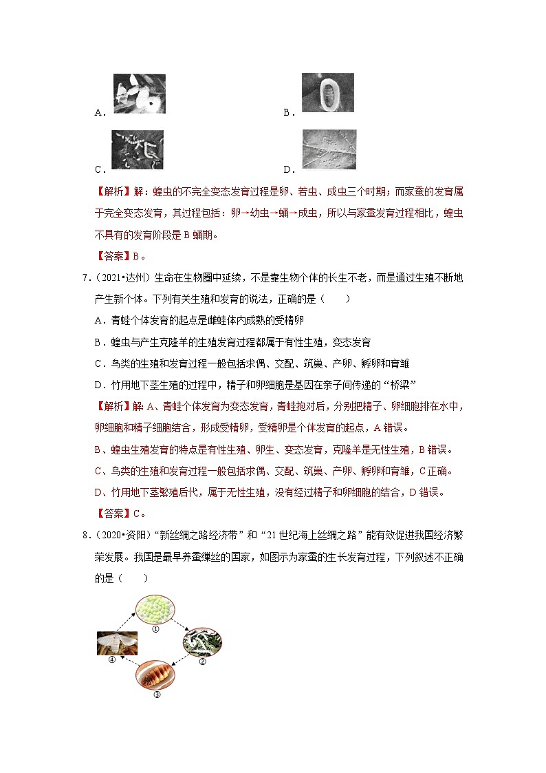 专题11 生物的生殖和发育-三年（2020-2022）中考生物真题分项汇编（四川专用）（解析版）第3页