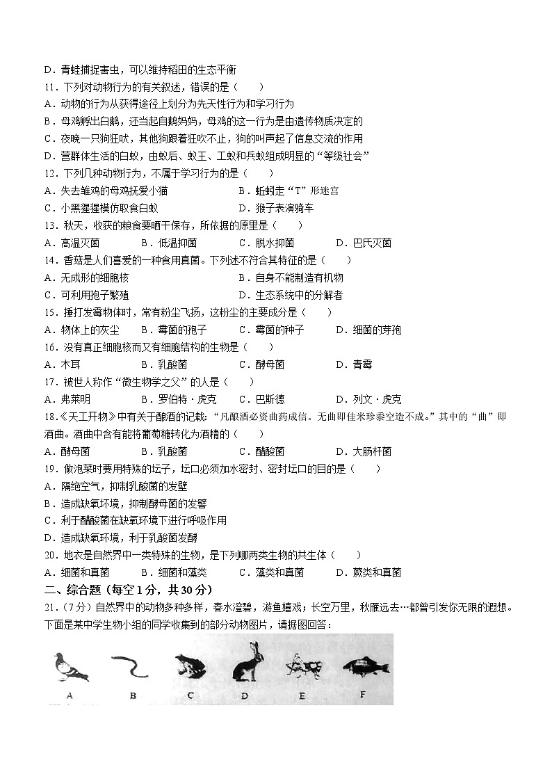 河南省南阳市桐柏县2022-2023学年八年级上学期期中生物试题(含答案)第2页