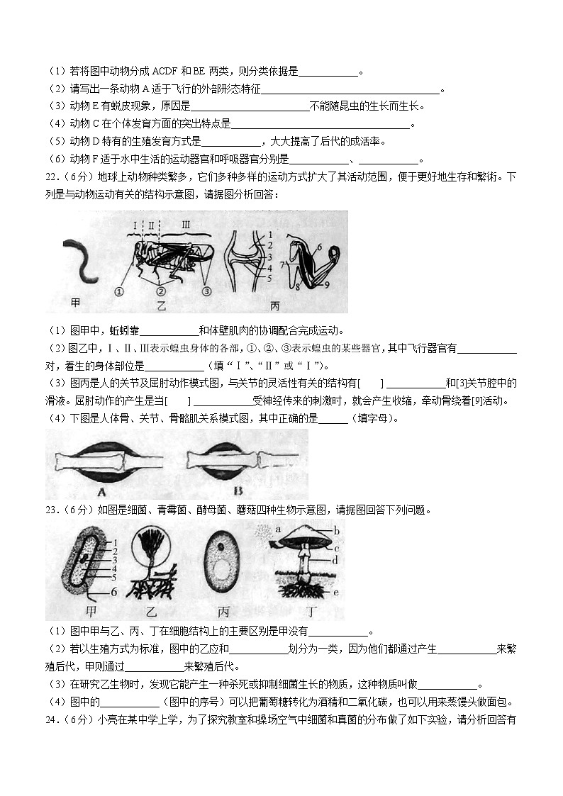 河南省南阳市桐柏县2022-2023学年八年级上学期期中生物试题(含答案)第3页
