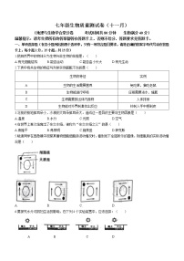 辽宁省鞍山市铁西区2022-2023学年七年级上学期期中生物试题(含答案)