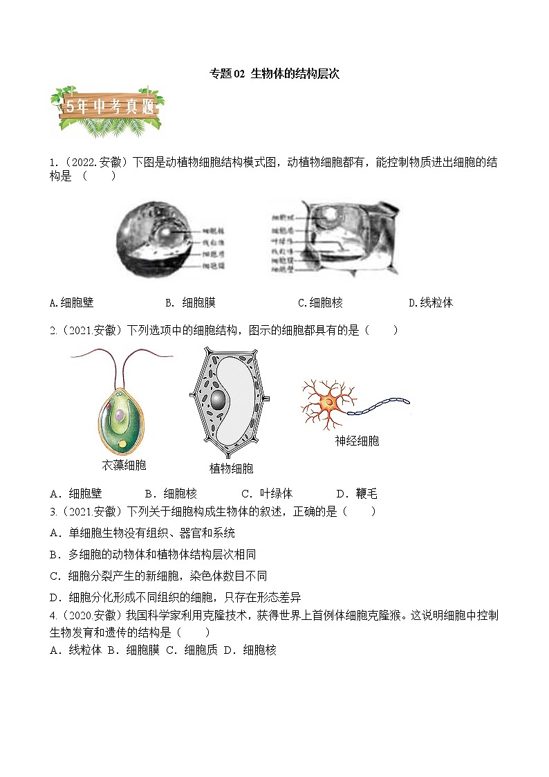 专题02 生物体的结构层次-5年（2018-2022）中考1年模拟生物分项汇编（安徽专用）（原卷版）第1页