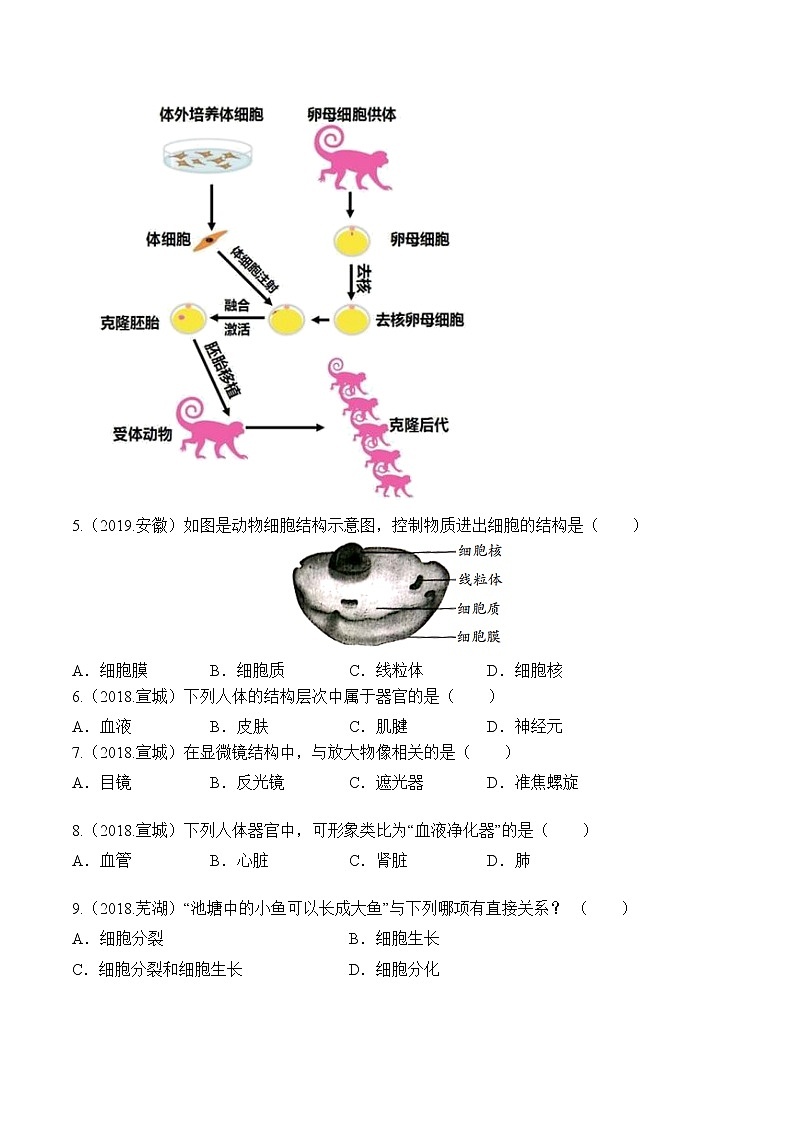 专题02 生物体的结构层次-5年（2018-2022）中考1年模拟生物分项汇编（安徽专用）（原卷版）第2页