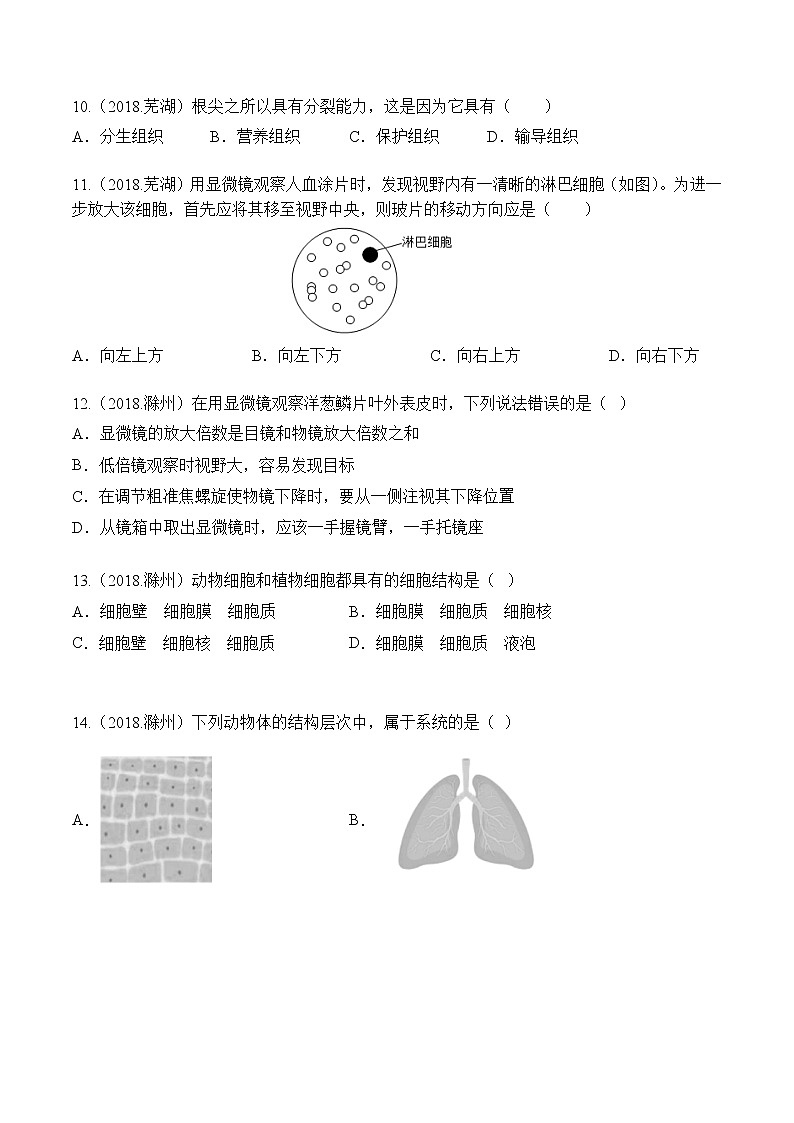 专题02 生物体的结构层次-5年（2018-2022）中考1年模拟生物分项汇编（安徽专用）（原卷版）第3页