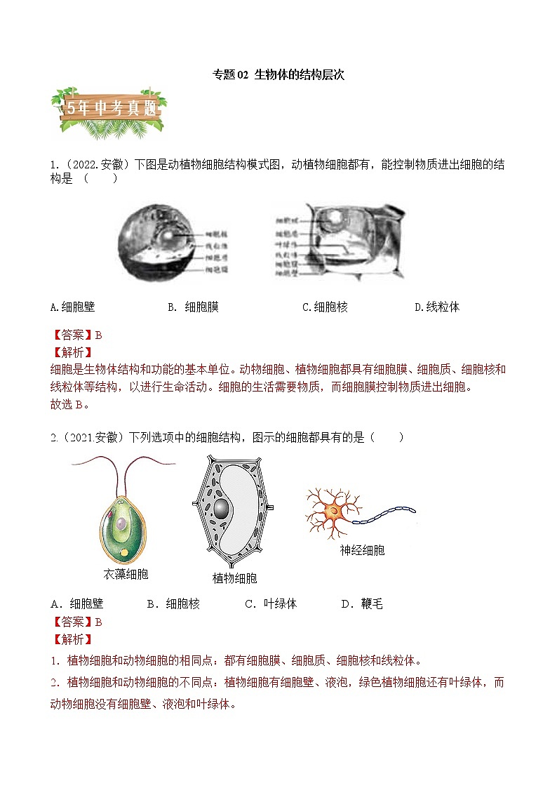 专题02 生物体的结构层次-5年（2018-2022）中考1年模拟生物分项汇编（安徽专用）（解析版）第1页