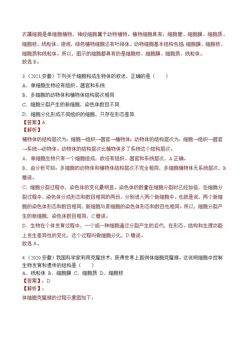 专题02 生物体的结构层次-5年（2018-2022）中考1年模拟生物分项汇编（安徽专用）（解析版）第2页