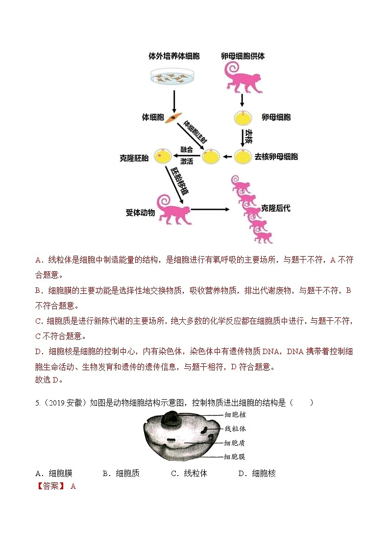 专题02 生物体的结构层次-5年（2018-2022）中考1年模拟生物分项汇编（安徽专用）（解析版）第3页